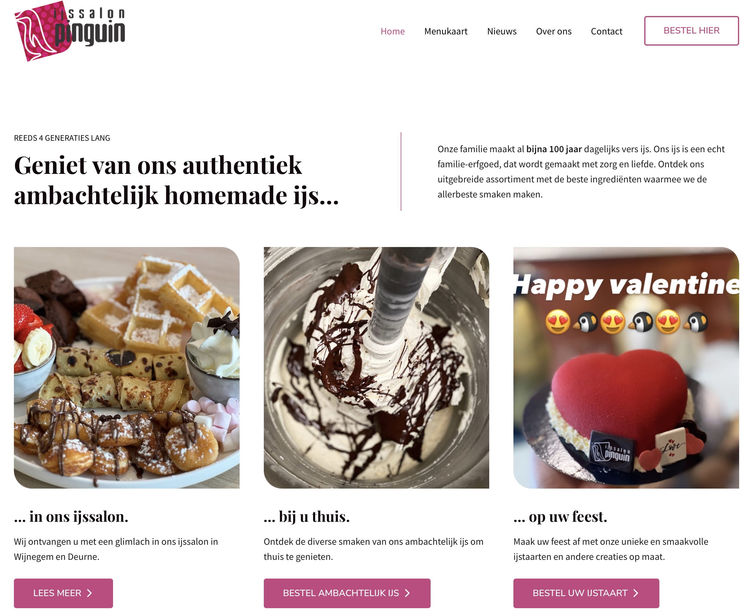 website preview ijssalon-pinguin